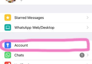 WhatsAppで最終接続時間を表示されないように設定する方法